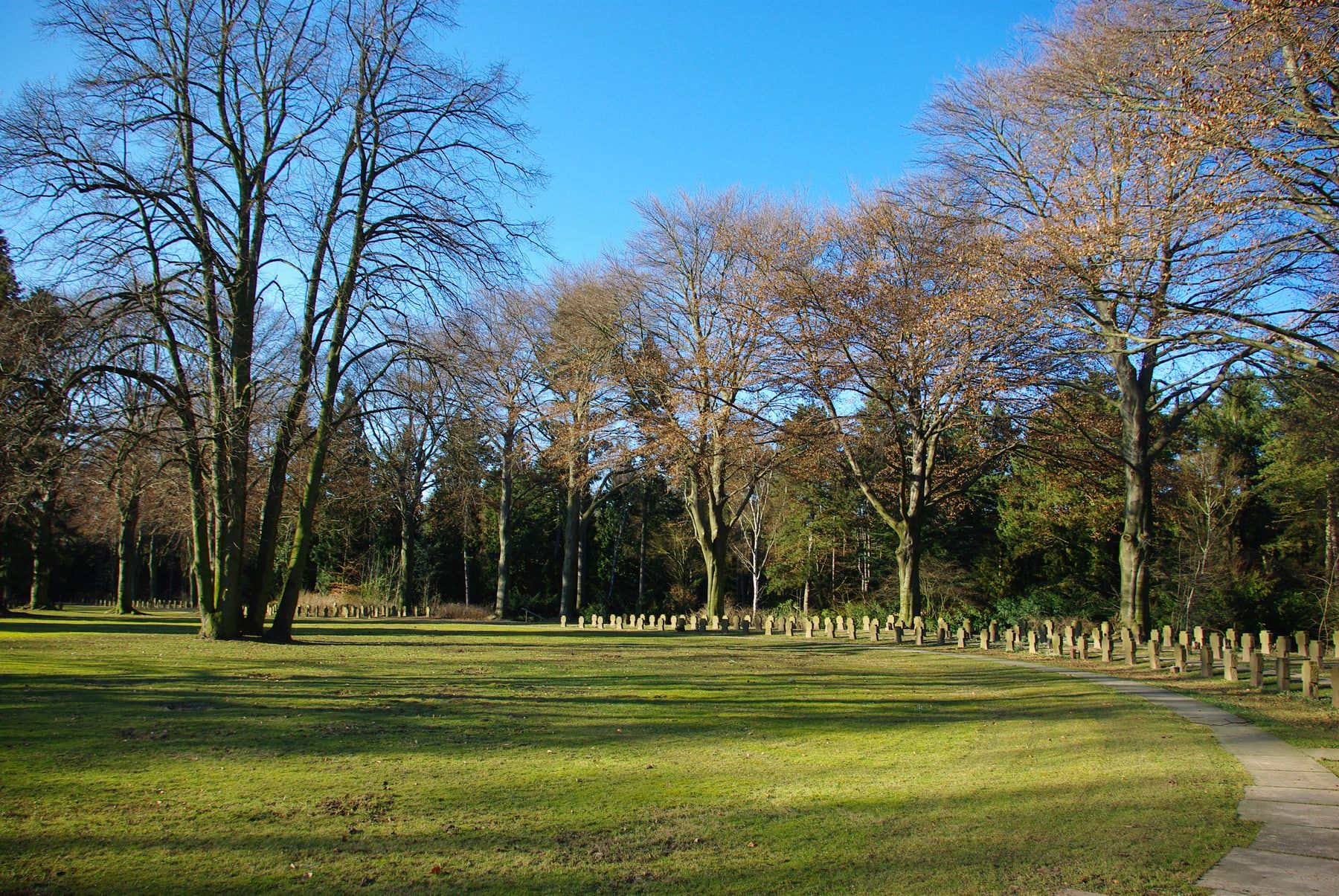 Weite Rasenfläche mit langen Reihen kleiner Steinkreuze unter hohen laublosen Bäumen und blauem Winterhimmel auf Südfriedhof Köln